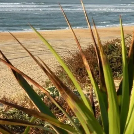 Appartamento Seignosse, 2 Pièces, 4 Personnes - Fr-1-239-460