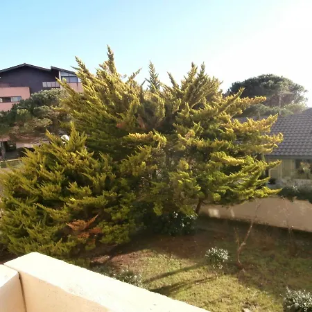 Appartamento Seignosse, 2 Pièces, 4 Personnes - Fr-1-239-460 *