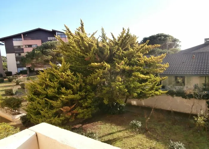 Apartment Renove Avec Balcon, Proche Et Marche - 4 Pers, Calme & Confort A - Fr-1-239-460 *